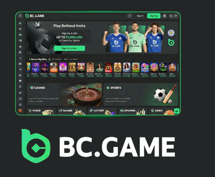 Complete Guide to the BC.Game Registration Process